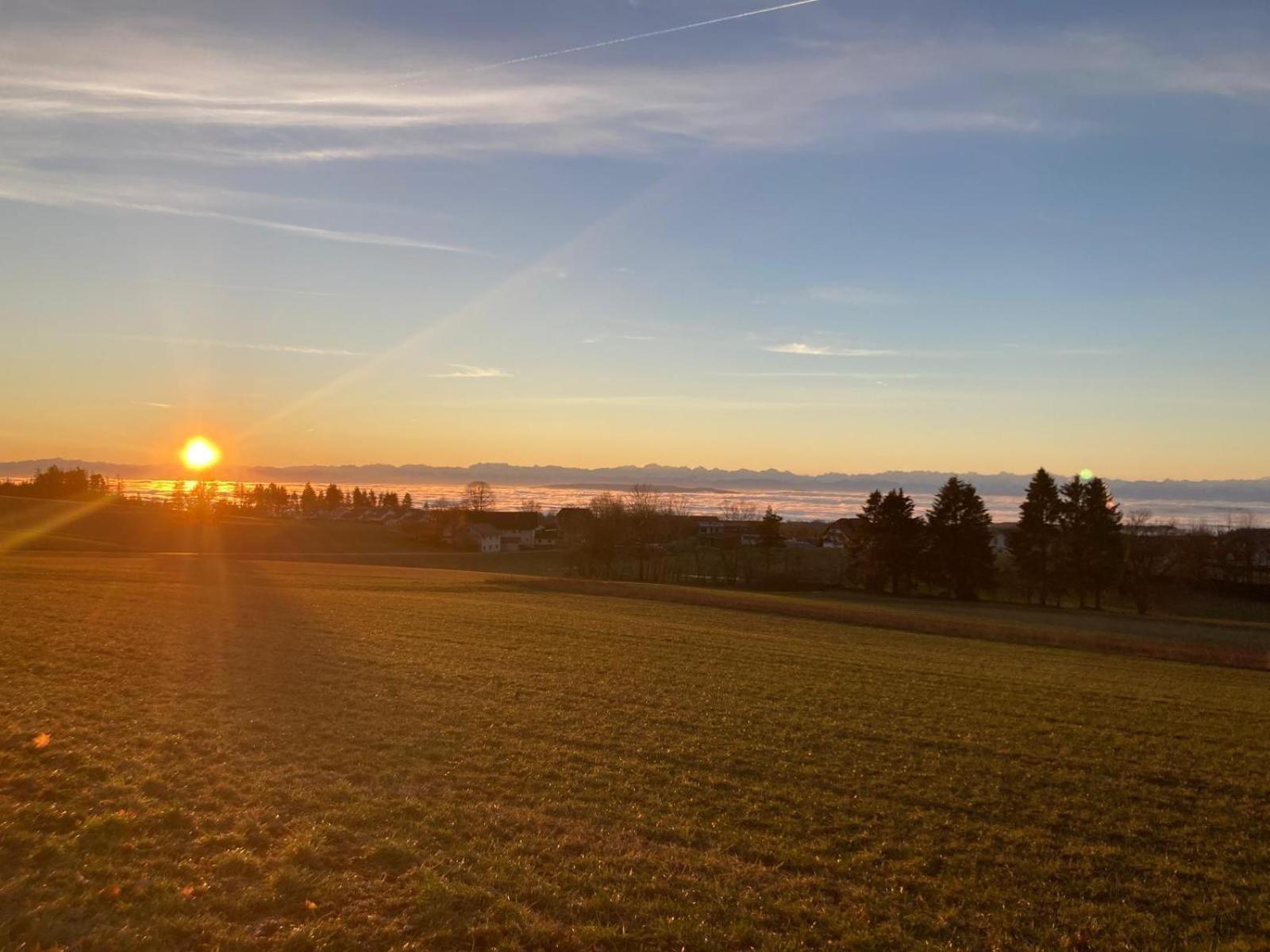 Haus Hanni Höchenschwand Eksteriør billede